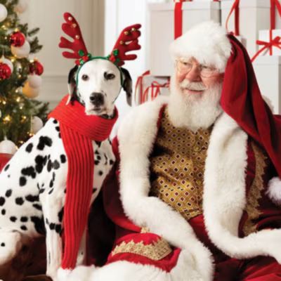 Pet Photos with Santa at Gurnee Mills